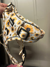 Load image into Gallery viewer, Sunpower Explorer Harness - *SECONDS *