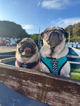 Load image into Gallery viewer, Red Dog Harness