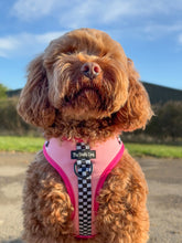 Load image into Gallery viewer, Girl Racer - CHARITY Harness