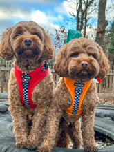 Load image into Gallery viewer, RESTOCKED - MCLAWren Bundle: Harness + Lead + PBH