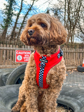 Load image into Gallery viewer, FURrari Bundle: Harness + Lead + PBH