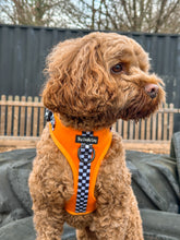 Load image into Gallery viewer, RESTOCKED - MCLAWren Harness