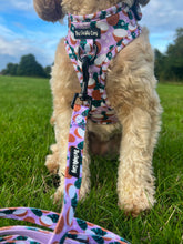 Load image into Gallery viewer, Coconutty Bundle: Harness + Lead + PBH