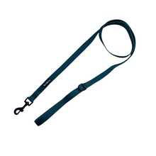 Load image into Gallery viewer, Seafoam Lead