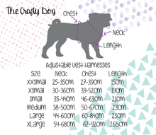 Load image into Gallery viewer, Bubblegum Plaid Bundle: Harness + Lead + PBH