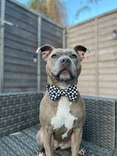 Load image into Gallery viewer, PAWmula 1 Bow Tie