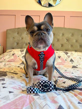 Load image into Gallery viewer, FURrari Bundle: Harness + Lead + PBH