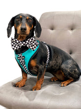 Load image into Gallery viewer, PAWcedes Bundle: Harness + Lead + PBH