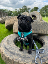 Load image into Gallery viewer, PAWcedes Bundle: Harness + Lead + PBH