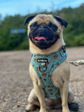 Load image into Gallery viewer, The Crafty Cow Harness