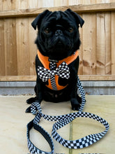 Load image into Gallery viewer, RESTOCKED - MCLAWren Harness