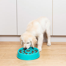 Load image into Gallery viewer, Zippy Paws - Happy Bowls - Donut Blue