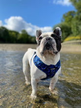 Load image into Gallery viewer, Whaling Around Harness