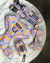 Load image into Gallery viewer, Pizza My Heart Harness