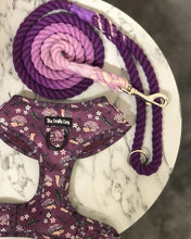 Load image into Gallery viewer, Looking Sharp Harness