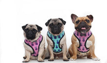 Load image into Gallery viewer, Can't Touch This - Pink