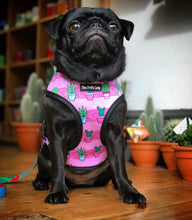 Load image into Gallery viewer, Can't Touch This - Pink