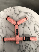 Load image into Gallery viewer, Strawberry Swirl Strap Harness