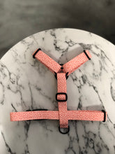 Load image into Gallery viewer, Strawberry Swirl Strap Harness