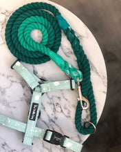 Load image into Gallery viewer, Emerald Rope Lead