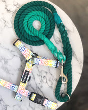 Load image into Gallery viewer, Emerald Rope Lead