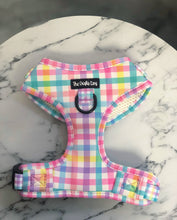 Load image into Gallery viewer, Picnic Plaid Harness