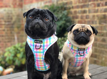 Load image into Gallery viewer, Picnic Plaid Harness
