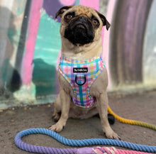 Load image into Gallery viewer, Picnic Plaid Harness