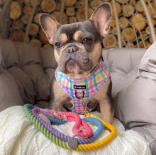 Load image into Gallery viewer, Picnic Plaid Bundle: Harness + Lead + PBH