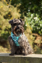 Load image into Gallery viewer, Jungle Fever