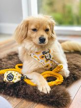 Load image into Gallery viewer, Sunpower Harness