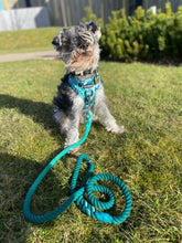 Load image into Gallery viewer, Jungle Fever