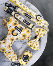 Load image into Gallery viewer, Sunpower Harness