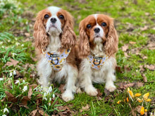 Load image into Gallery viewer, Sunpower Harness