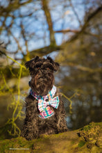 Load image into Gallery viewer, Picnic Plaid Harness