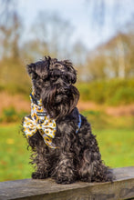 Load image into Gallery viewer, Sunpower Harness