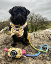 Load image into Gallery viewer, Sunpower Harness