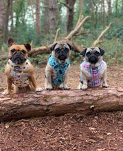Load image into Gallery viewer, Picnic Plaid Harness