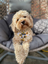 Load image into Gallery viewer, Sunpower Harness