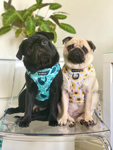 Load image into Gallery viewer, Jungle Fever