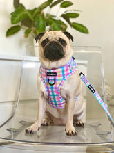 Load image into Gallery viewer, Picnic Plaid Harness