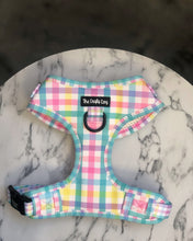 Load image into Gallery viewer, Picnic Plaid Harness