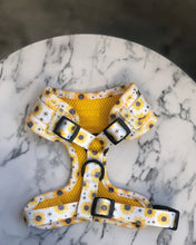 Load image into Gallery viewer, Sunpower Harness