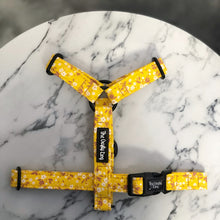 Load image into Gallery viewer, Buttercup Strap Harness