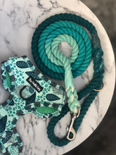 Load image into Gallery viewer, Can't Stop The Tealin' Rope Lead