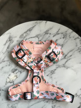 Load image into Gallery viewer, Orange Blossom Harness
