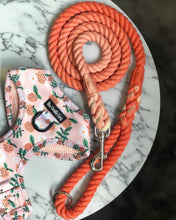 Load image into Gallery viewer, Peach Of My Heart Rope Lead