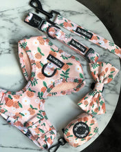 Load image into Gallery viewer, Orange Blossom Harness