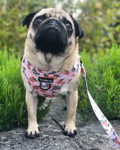 Load image into Gallery viewer, Orange Blossom Harness