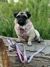 Load image into Gallery viewer, Orange Blossom Harness